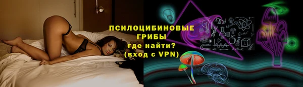 шишки Бронницы