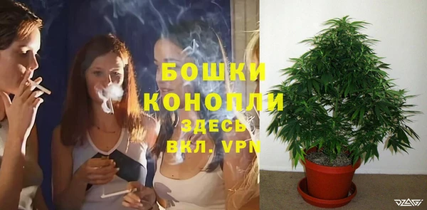 соль курить ск Бородино