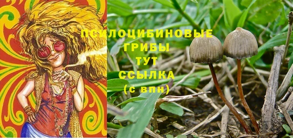 соль курить ск Бородино