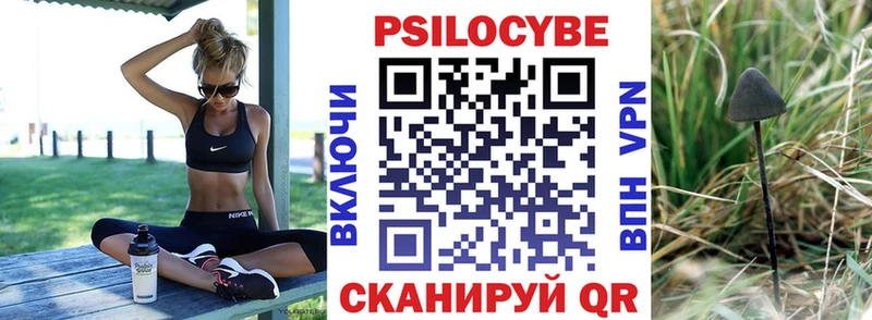 где купить наркоту Муравленко Псилоцибиновые грибы MAGIC MUSHROOMS